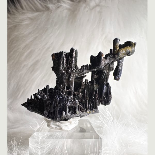Branching Black Limonite Guizhou 8.0 cm — alternate view