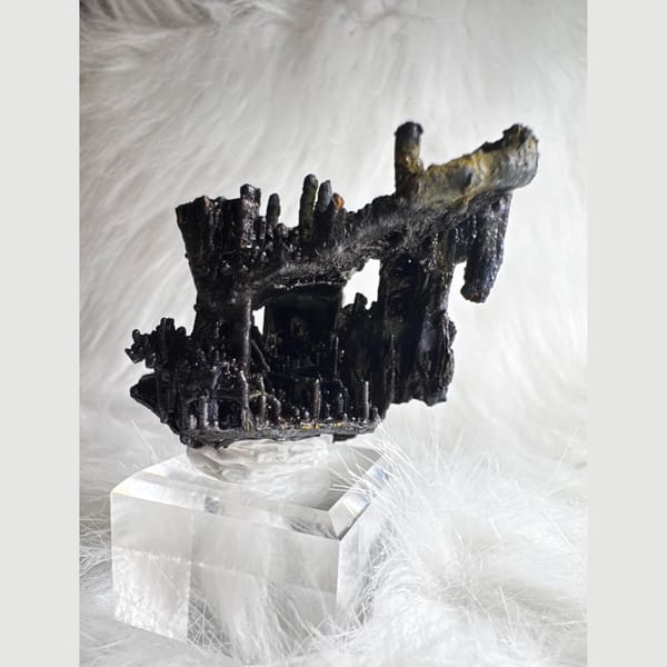 Branching Black Limonite Guizhou 8.0 cm — alternate view