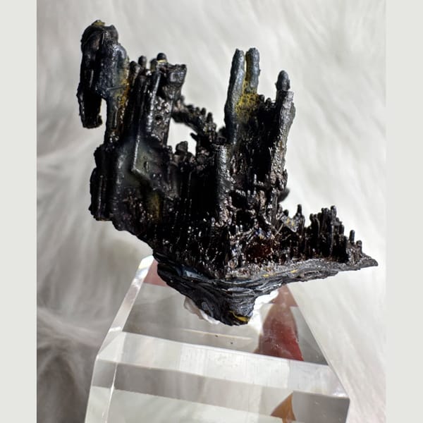 Branching Black Limonite Guizhou 8.0 cm — detail view