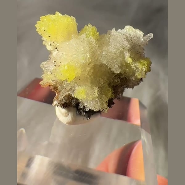 Creedite Flower with Yellow Inclusions 3.5 cm — complete view
