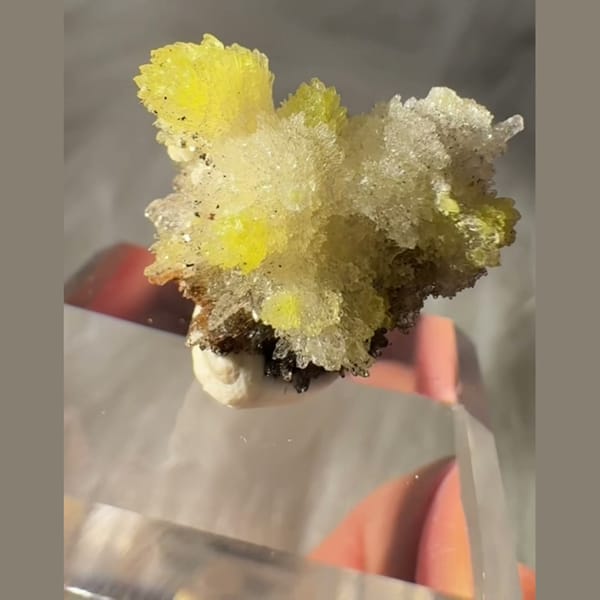 Creedite Flower with Yellow Inclusions 3.5 cm — alternate view