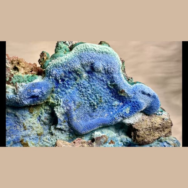 Gibbsite with Cyanotrichite 12.0 cm — complete view