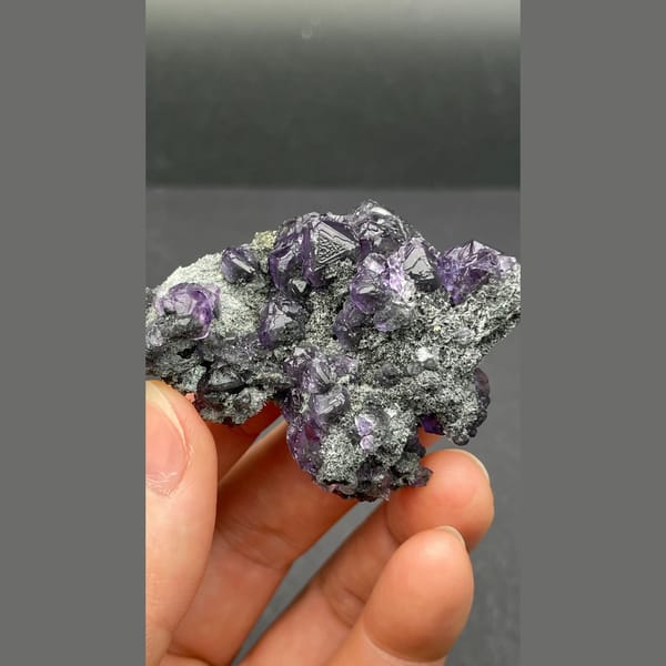 Violet-blue tanzanite fluorite on dark matrix from Fujian — complete view