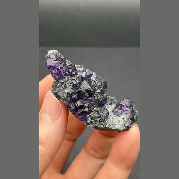 Violet-blue tanzanite fluorite on dark matrix from Fujian — detail view