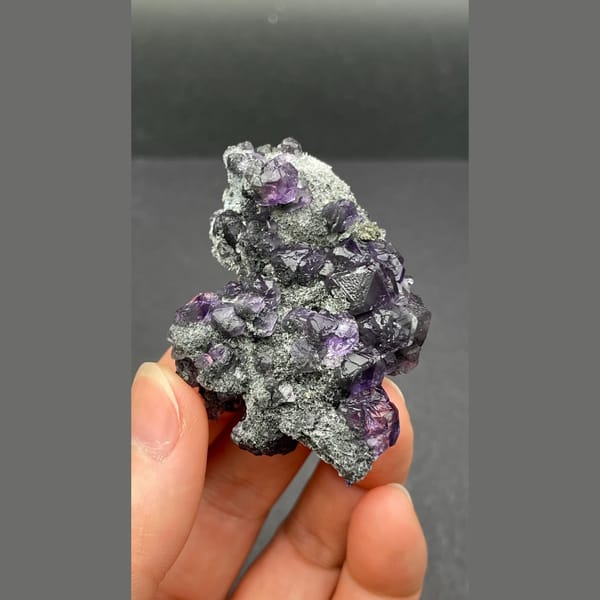 Violet-blue tanzanite fluorite on dark matrix from Fujian — detail view