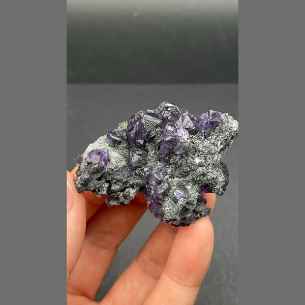 Violet-blue tanzanite fluorite on dark matrix from Fujian — detail view