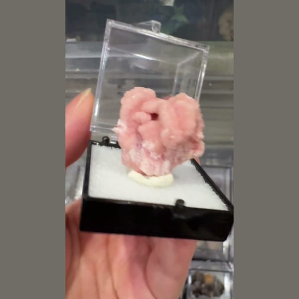 Pink Rhodochrosite Petals 2.5 cm — complete view