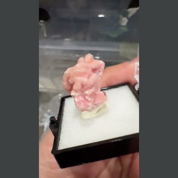 Pink Rhodochrosite Petals 2.5 cm — alternate view