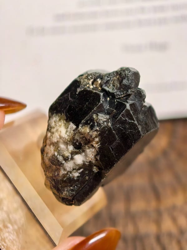 Black Garnet Crystal with Green Translucence — Canada — mineral specimen view 3