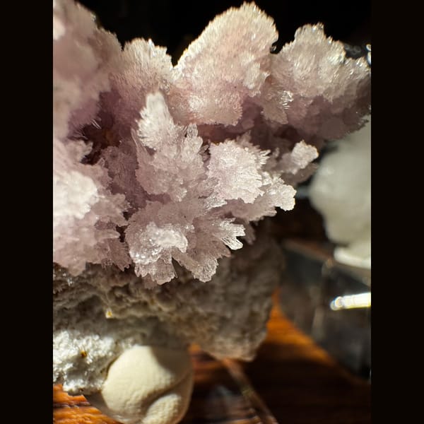 Pink-White Creedite Cluster 4.0 cm — detail view