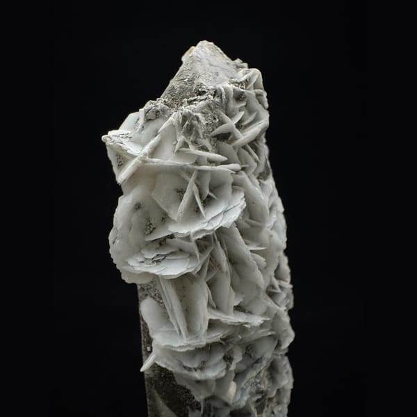 Quartz with chlorite-dusted petal calcite from Inner Mongolia — detail view