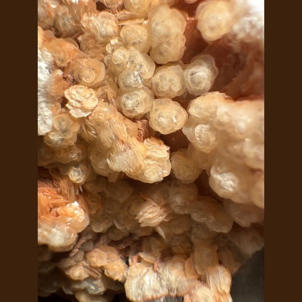 Orange-Pink Petal Calcite Inner Mongolia 4.5 cm — alternate view