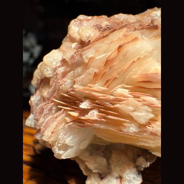 Orange-Pink Petal Calcite Inner Mongolia 4.5 cm — detail view