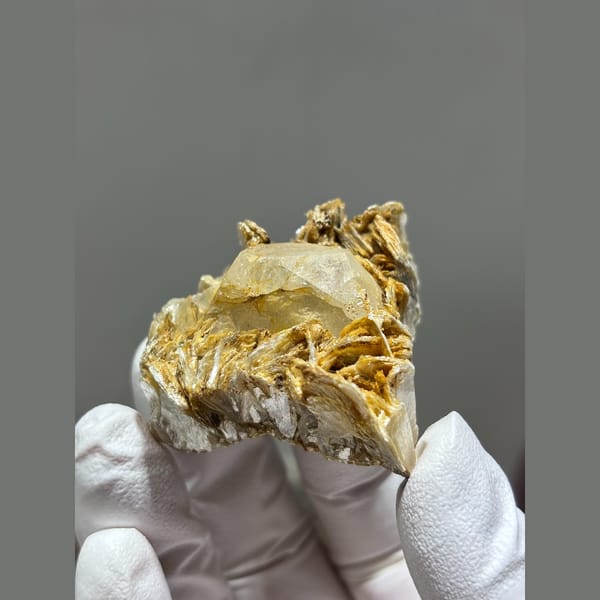 Aquamarine with golden mica sprays from Xuebaoding, Sichuan — complete view