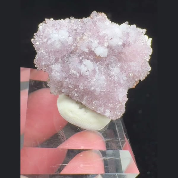 Pink-White Creedite Cluster 3.0 cm — complete view