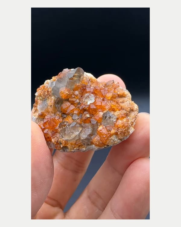 Complete reverse view of orange garnet-rich matrix