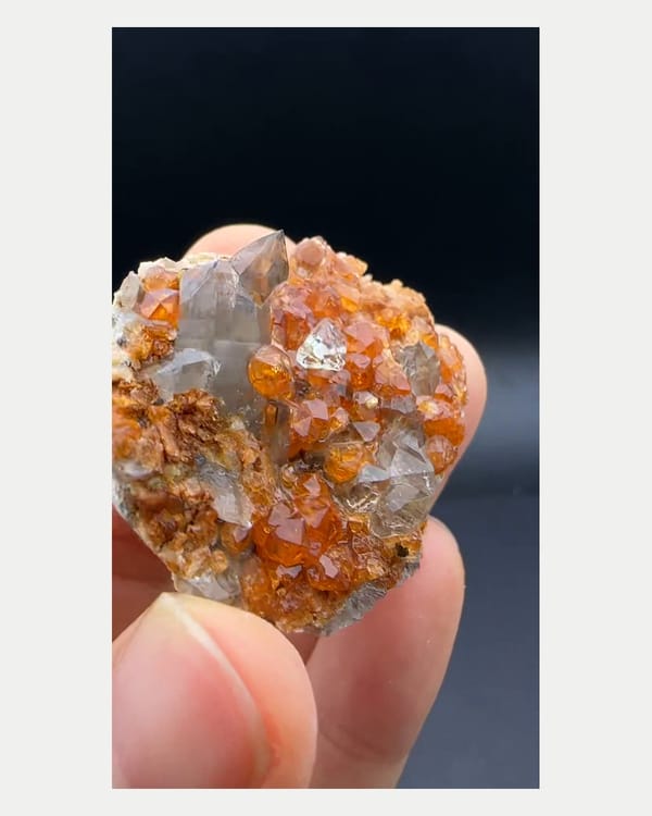 Complete left oblique view of fluorite and smoky quartz