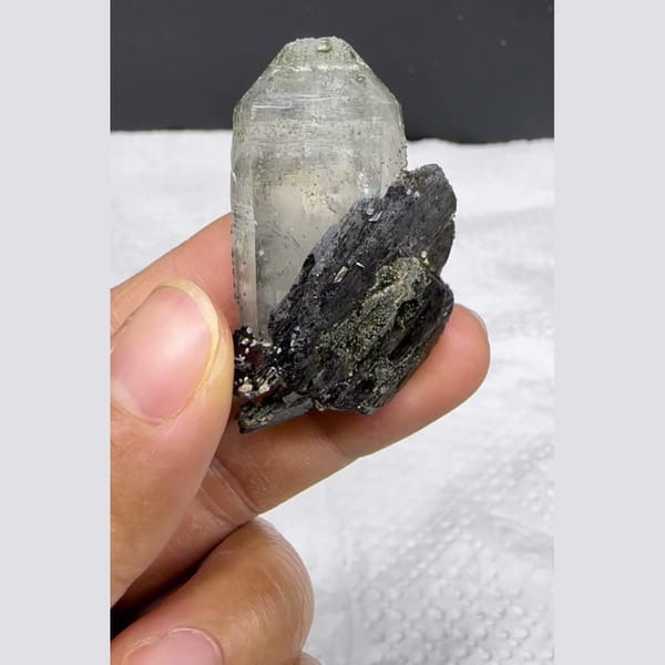 Chlorite Quartz with Wolframite Yaogangxian 4.2 cm — complete view