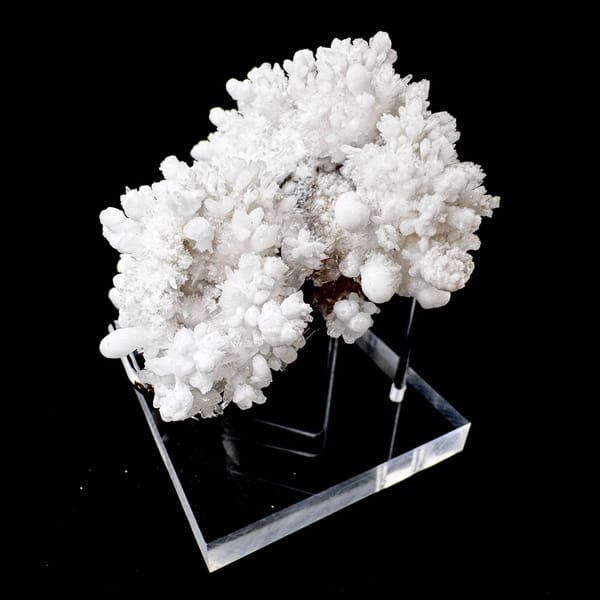 White Hydrozincite Flower Cluster Guiyang 7.0 cm — alternate view