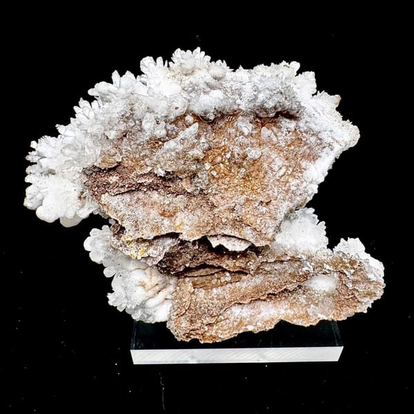 White Hydrozincite Flower Cluster Guiyang 7.0 cm — detail view