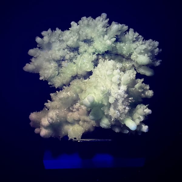 White Hydrozincite Flower Cluster Guiyang 7.0 cm — detail view
