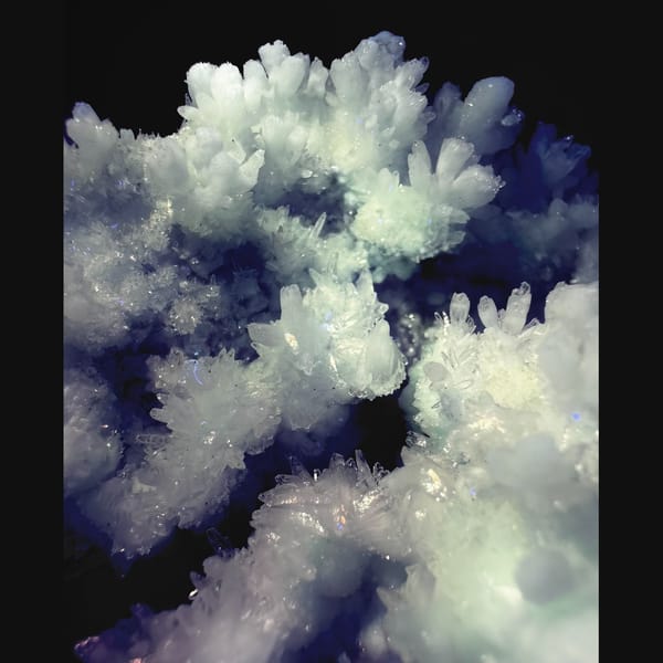 White Hydrozincite Flower Cluster Guiyang 7.0 cm — detail view