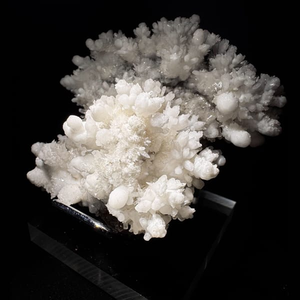 White Hydrozincite Flower Cluster Guiyang 7.0 cm — detail view