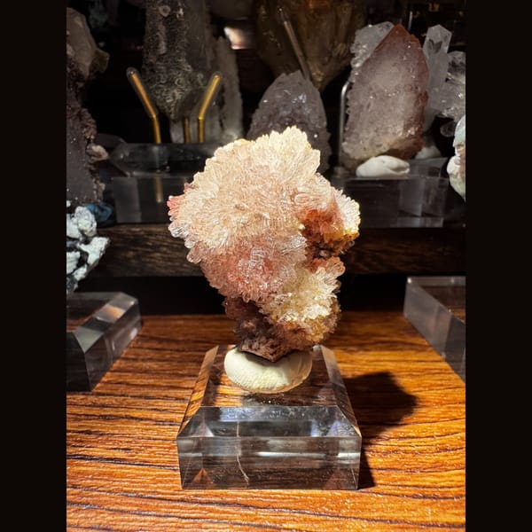 Pink-White Creedite Flower Guizhou 4.0 cm — complete view