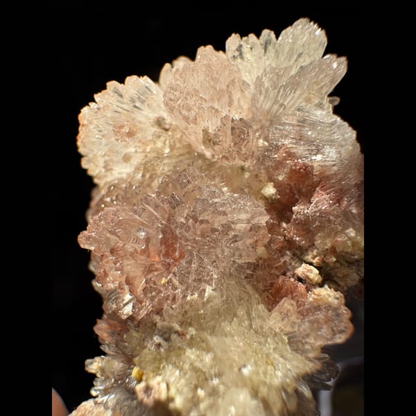 Pink-White Creedite Flower Guizhou 4.0 cm — detail view