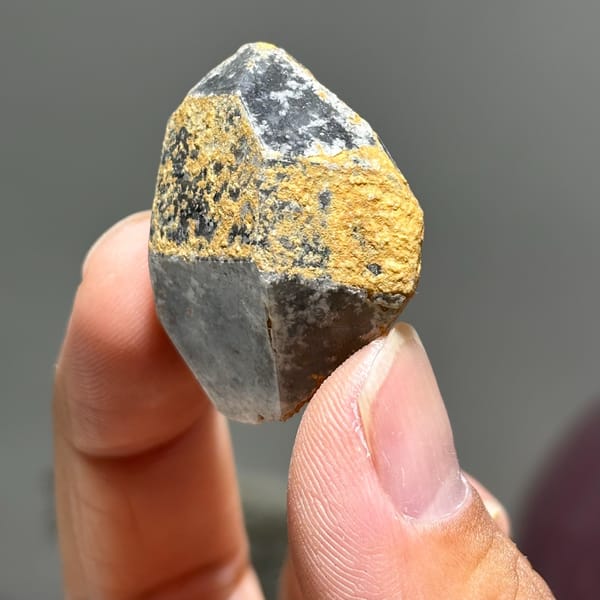Old-skin etched DT Yunnan B — complete view