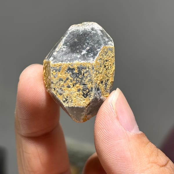 Old-skin etched DT Yunnan B — alternate view
