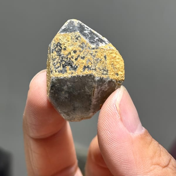 Old-skin etched DT Yunnan B — alternate view