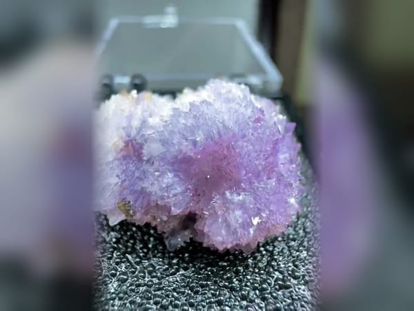 Purple Gypsum Flower Cluster, Two Tone Fluorescent Mineral Specimen — complete view