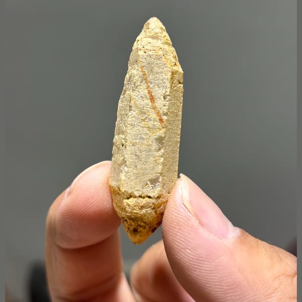Face-nicked old-skin etched DT Yunnan — alternate view