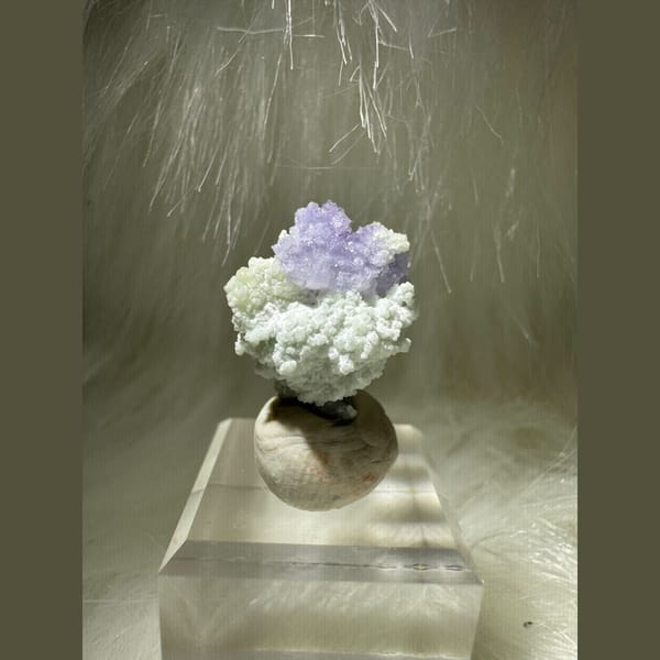 Tiny Purple and Green Creedite Flower 1.5 cm — complete view