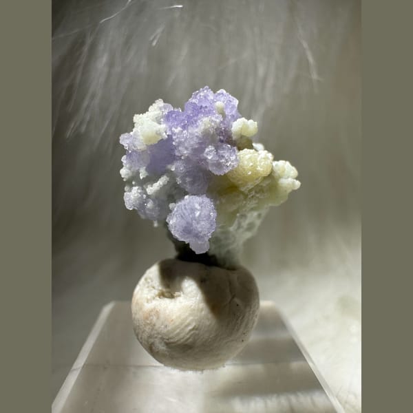 Tiny Purple and Green Creedite Flower 1.5 cm — alternate view