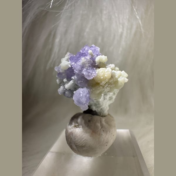 Tiny Purple and Green Creedite Flower 1.5 cm — detail view