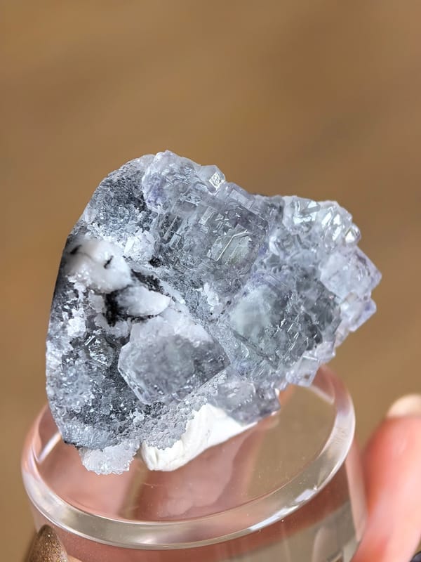 Stepped Fluorite on Quartz Matrix — Fujian — individual mineral specimen view 1