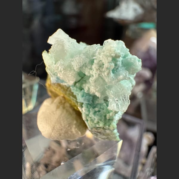 Small Blue-Green Garden Gypsum 2.5 cm — alternate view