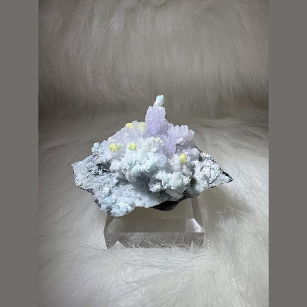 Gypsum with Carlhintzeite 5.0 cm — complete view