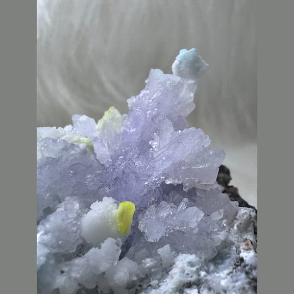 Gypsum with Carlhintzeite 5.0 cm — alternate view