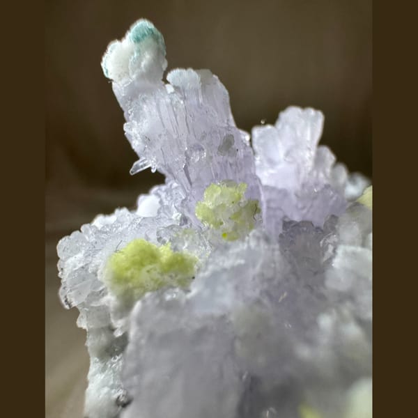 Gypsum with Carlhintzeite 5.0 cm — detail view