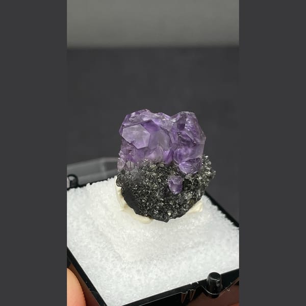 Small violet tanzanite fluorite on dark matrix from Fujian — alternate view