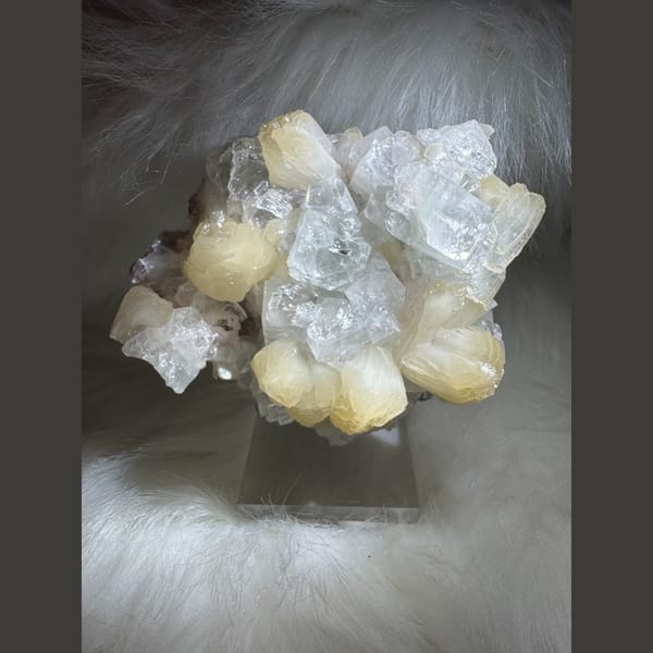 Apophyllite with Zeolite India 9.5 cm — complete view