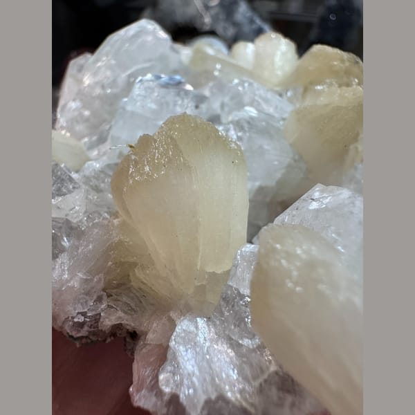Apophyllite with Zeolite India 9.5 cm — detail view