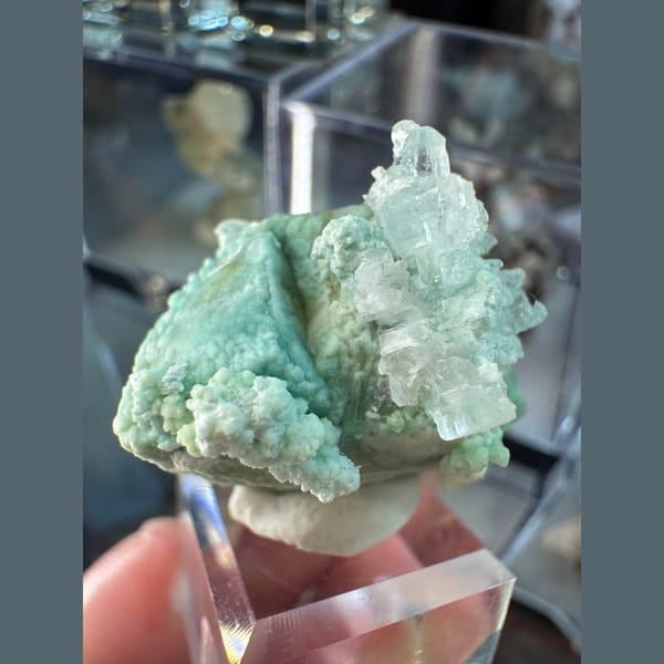 Blue-Green Garden Gypsum with White Flowers 3.5 cm — alternate view