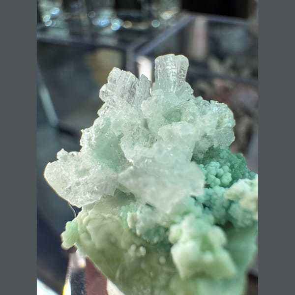 Blue-Green Garden Gypsum with White Flowers 3.5 cm — detail view