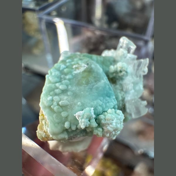 Blue-Green Garden Gypsum with White Flowers 3.5 cm — detail view