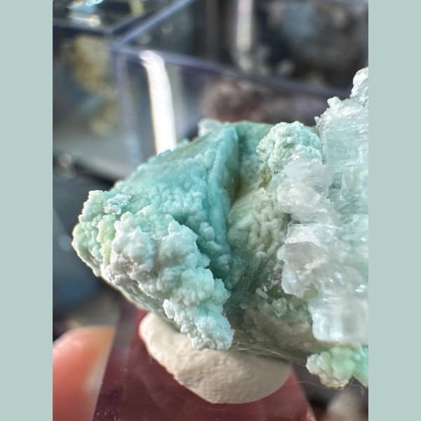 Blue-Green Garden Gypsum with White Flowers 3.5 cm — detail view