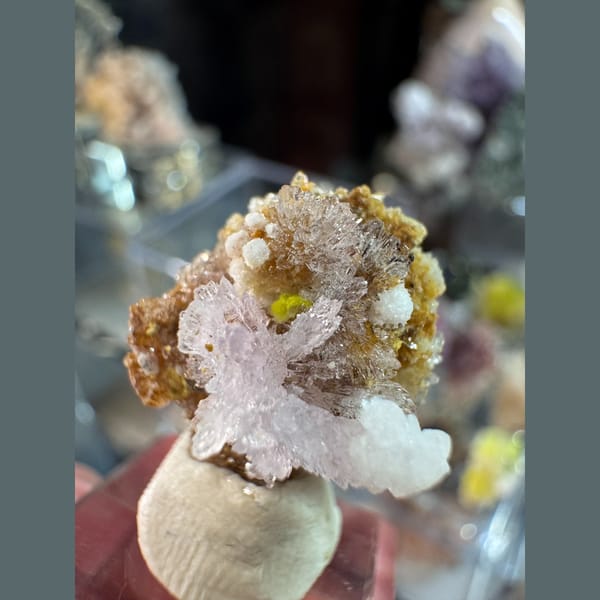 Tiny Pink-Purple Creedite Flower 1.6 cm — complete view